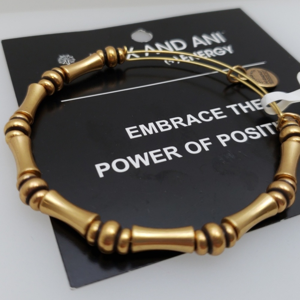 NWT Alex and Ani Bamboo RG bracelet